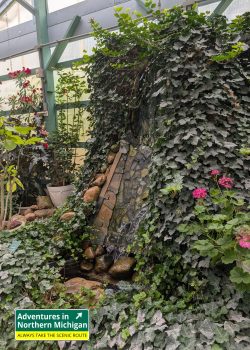 The GT Butterfly House & Bug Zoo in Williamsburg lets you walk among butterflies, see glowing scorpions, and explore fascinating insects.