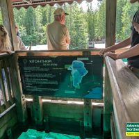 Thinking about visiting Kitch iti Kipi? Read our honest first-hand experience, helpful tips, and what surprised us during our summer visit.