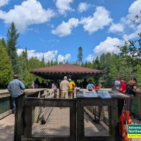 Thinking about visiting Kitch iti Kipi? Read our honest first-hand experience, helpful tips, and what surprised us during our summer visit.