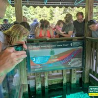 Thinking about visiting Kitch iti Kipi? Read our honest first-hand experience, helpful tips, and what surprised us during our summer visit.