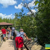 Thinking about visiting Kitch iti Kipi? Read our honest first-hand experience, helpful tips, and what surprised us during our summer visit.