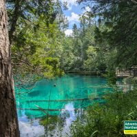 Thinking about visiting Kitch iti Kipi? Read our honest first-hand experience, helpful tips, and what surprised us during our summer visit.