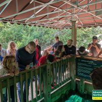 Thinking about visiting Kitch iti Kipi? Read our honest first-hand experience, helpful tips, and what surprised us during our summer visit.