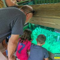 Thinking about visiting Kitch iti Kipi? Read our honest first-hand experience, helpful tips, and what surprised us during our summer visit.