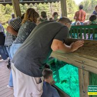 Thinking about visiting Kitch iti Kipi? Read our honest first-hand experience, helpful tips, and what surprised us during our summer visit.