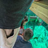 Thinking about visiting Kitch iti Kipi? Read our honest first-hand experience, helpful tips, and what surprised us during our summer visit.