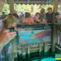 Thinking about visiting Kitch iti Kipi? Read our honest first-hand experience, helpful tips, and what surprised us during our summer visit.
