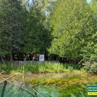 Thinking about visiting Kitch iti Kipi? Read our honest first-hand experience, helpful tips, and what surprised us during our summer visit.