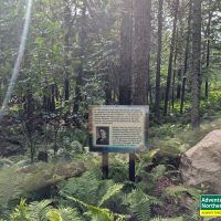 Thinking about visiting Kitch iti Kipi? Read our honest first-hand experience, helpful tips, and what surprised us during our summer visit.